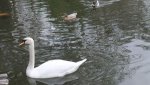 Bilda 0492.jpg