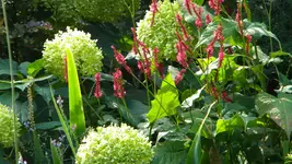 DSCN3629.webp