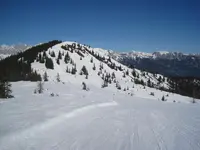 014.webp