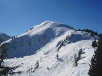 048.webp
