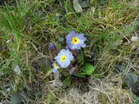 SAM_3177.webp