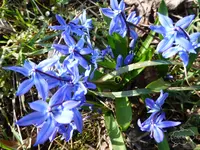P1010271.webp