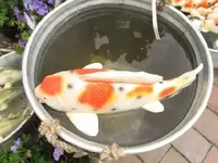 Bild 1638.webp