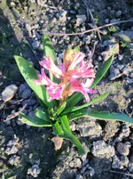 image.webp