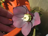 001_1024x768.webp