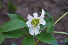 comp_DSC00956.webp
