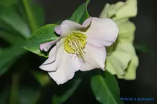 comp_DSC00958.webp