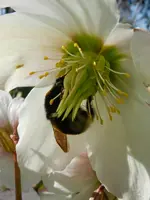 DSCN0118.webp