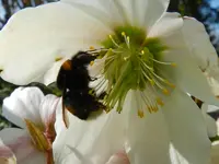 DSCN0119.webp