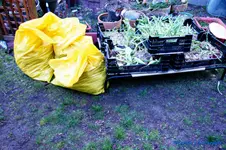 comp_DSC00955.webp