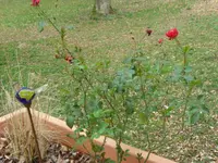 SAM_3191.webp