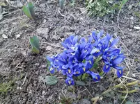 tmp_IMG_20140314_165605240716293.webp