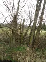 Bild 3.webp