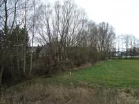 Bild 1.webp