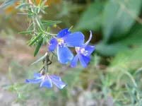 DSCN1173.webp