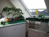 IMGP0110.webp