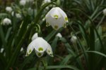 2014_0315winter0003.jpg