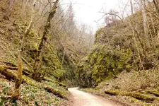 2014_0315winter0016 weg.webp
