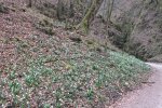 2014_0315winter0020.jpg