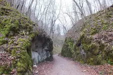 2014_0315winter0021.webp