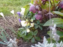 P1110571.webp