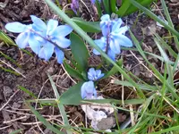 P1110565.webp