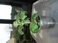 DSCF7644.webp