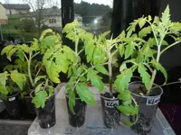 DSCF7645.webp