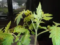 DSCF7646.webp