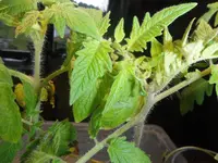 DSCF7647.webp