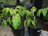 DSCF7648.webp