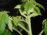 DSCF7649.webp