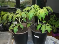 DSCF7650.webp