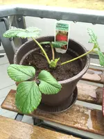 16.03.2014 - 01.webp