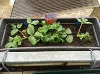 16.03.2014 - 02.webp