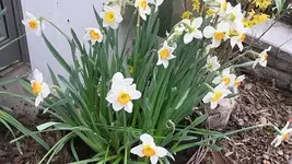 016.webp