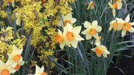 057.webp