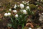 2014_0315winter0040.jpg