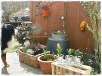 Frühling13.webp