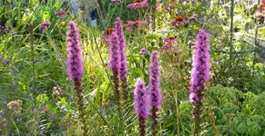 DSCN3328P.webp