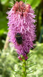 DSCN5295.webp