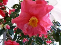 P1010203.webp