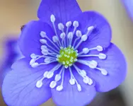 DSC_0002.webp