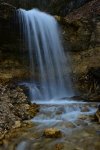 DSC_0119.jpg
