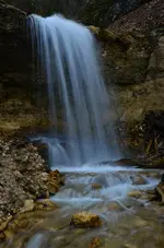 DSC_0119.webp