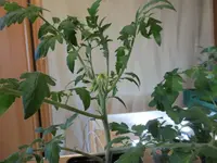 K1600_IMG_0174.webp