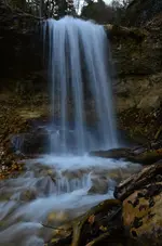 DSC_0124.webp