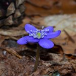 DSC_0181.jpg