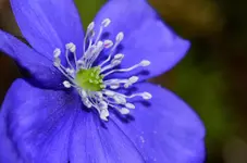 DSC_0183.webp