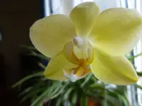 P1110592.webp